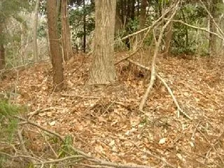 丘陵尾根に単独で築かれた円墳 踊原古墳 …