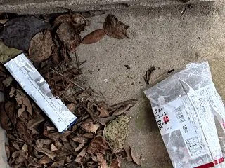 どこから来た？