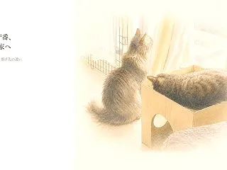 猫2匹の留守番、泊まりのときはどうして…