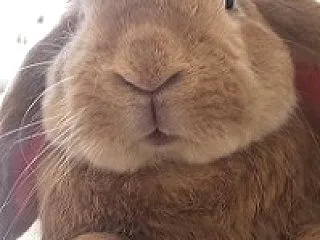 秋華賞 最終結論