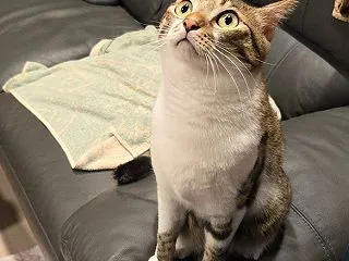 はっさく、なにか見えるの？？