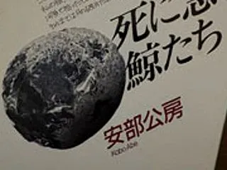 クジラの気持ちはよくわかる。
