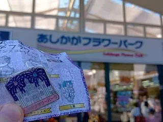 【あしかがフラワーパーク】秋の散策とハロ…