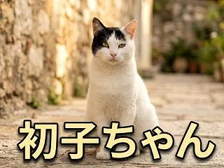 秋の猫ガーデン イルカのはつこちゃん