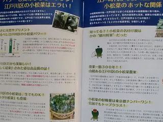 こまつ