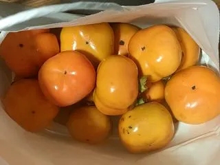 柿