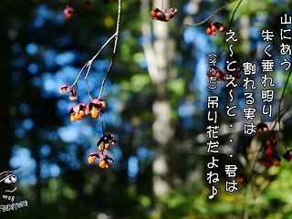 「呆けチェック 秋の山」