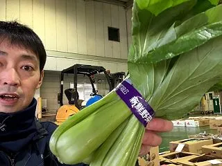 【2026年10月17日(土)】今週の岩…