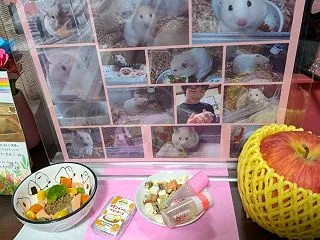 近況…