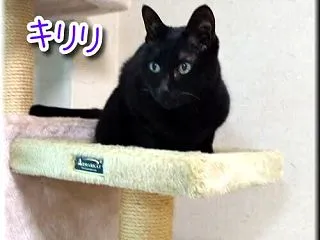 予期せぬ贈り物