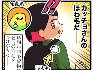 服にインコの羽毛がついてるとなんだか嬉し…
