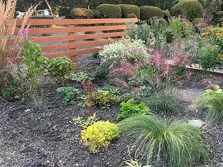 冬支度へ向かうグラスガーデン～球根植えの…