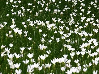 不適切保育を浮き彫りにする必要がある