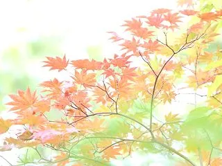 261017