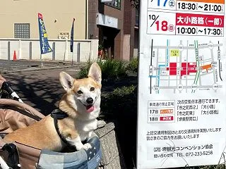 堺でタイ料理とインド料理。