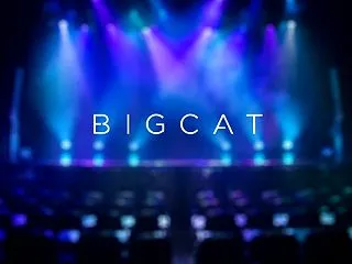 BIGCAT周辺の安いホテル｜徒歩5分以…