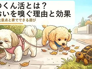 犬のくん活とは？散歩でにおいばかり嗅ぐ理…