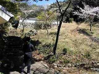 おうむ岩【アクセス・駐車場】不思議な現象…