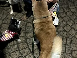 久しぶりのオヤツをゲット！