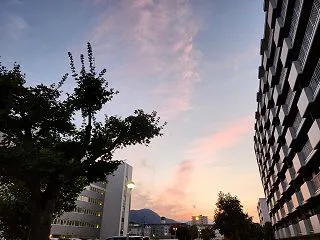 インフルエンザの予防接種予約