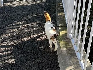 夜になって