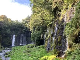 富士宮市の白糸の滝に行ってきました！