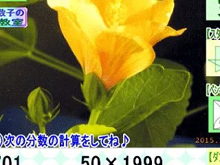 ［う山先生の分数］【算数・数学】１１４６…