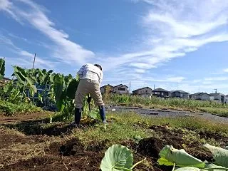 最後の収穫♪