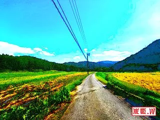 第１９６５号 休出にはならず