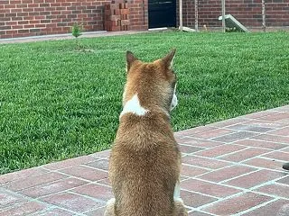 秋のカニカニ祭り
