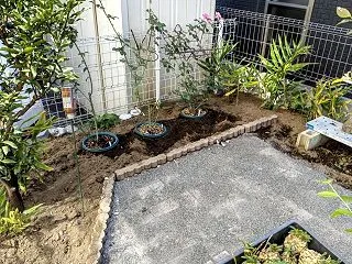 鉢植えを地植え・・・。