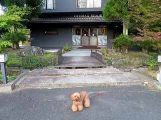 【犬連れ旅行記】愛犬と行くリブマックスリ…