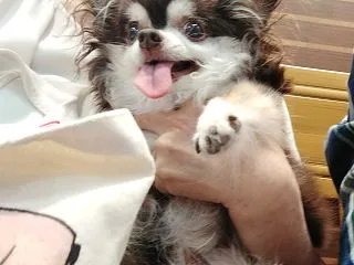 動物病院行って来ました〜
