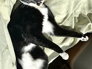 可愛い…じゃない朔君はどうだろ？w
