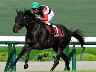 【秋華賞2026】血統最終予想、３歳女王…