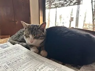 おじちゃんと一緒 その１