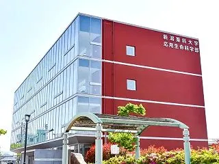 名前が変わる大学、2000年度以降で最多…