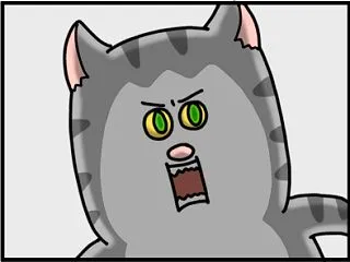 猫にもフレネミーいたわ
