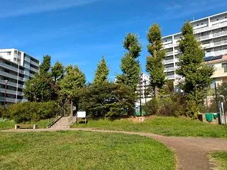 今日の散歩