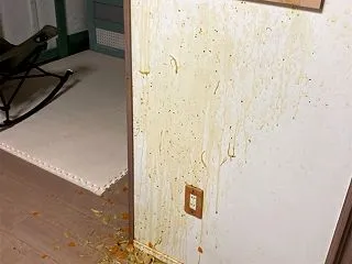 【自閉症児】カレースープをぶちまける