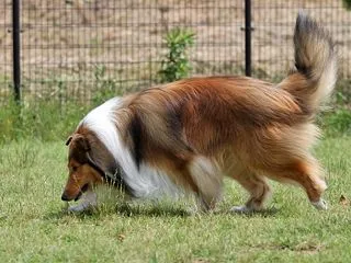 ソースネクストからのメールにあたふた