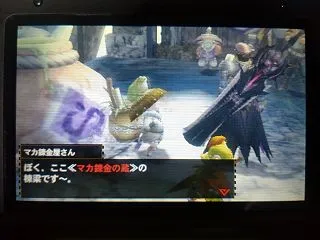 【モンハン4】狂竜化ババコンガと狂竜化テ…