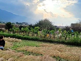 耳納連山を背景に？！