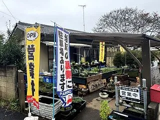 メダカ引取物語（78）愛好家さんとメダカ…