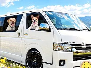 2026.10.14(水)ミップでソフト…
