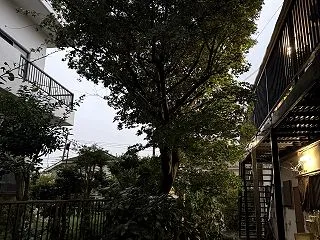 横浜市泉区の植木屋父ちゃん！現場リポート…