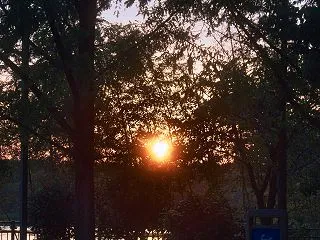 鶴見緑地、思いがけない夜のお散歩
