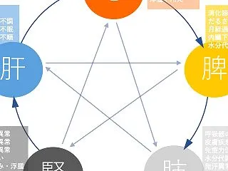 東洋医学の五行理論 （東洋医学を知れば、…