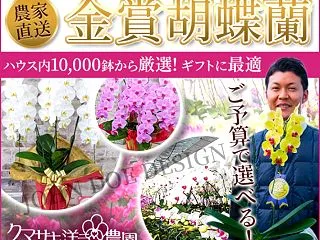 ギフト胡蝶蘭 通販 おすすめの【ランノハ…