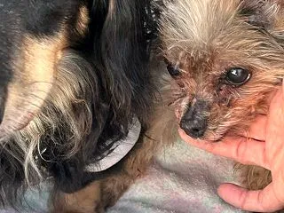 今日はまったり